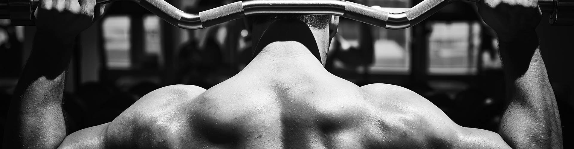 Gut Health and Athletic Performance