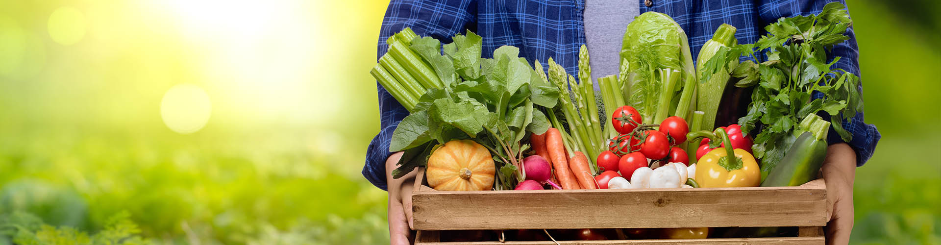 Gut Health – The Key to Ward off Post Covid (Long Covid)