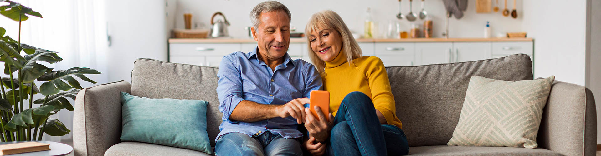 Inulin reduces frailty in old age