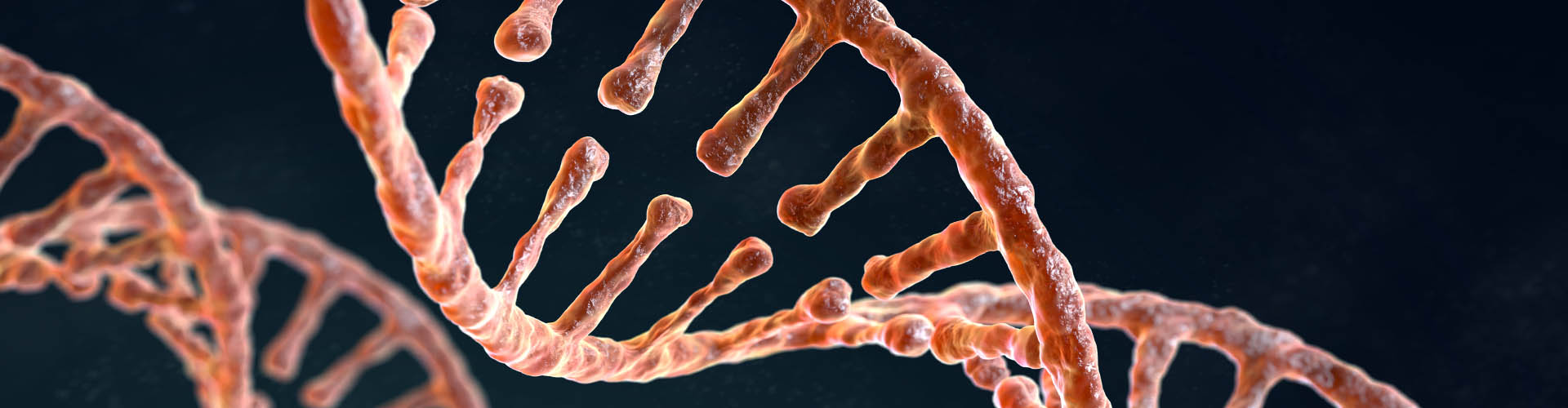 How Genes Influence Gut Microbe Function