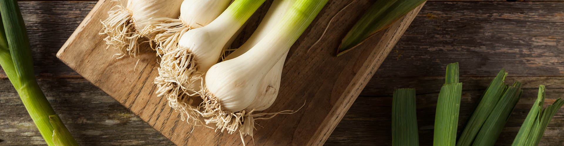 Boost Mineral Absorption with Prebiotic Fibre