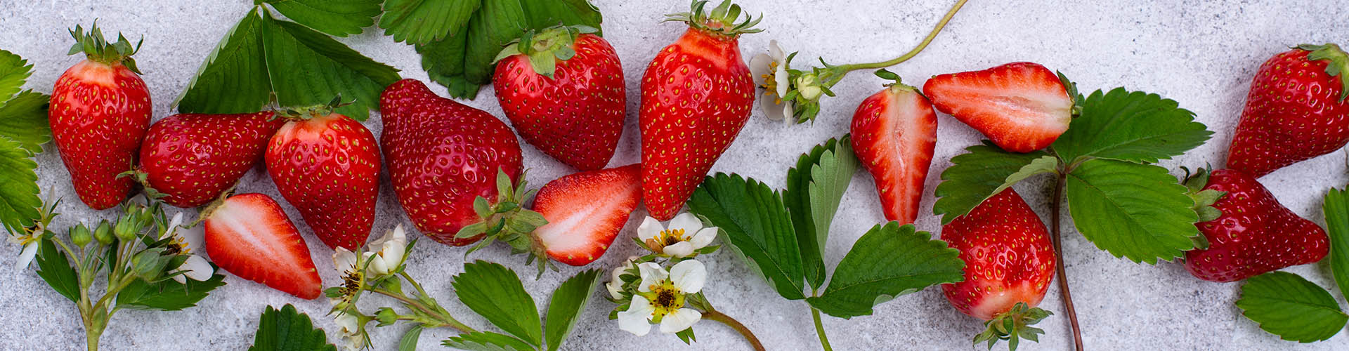 3 Vital Minerals Your Body Needs