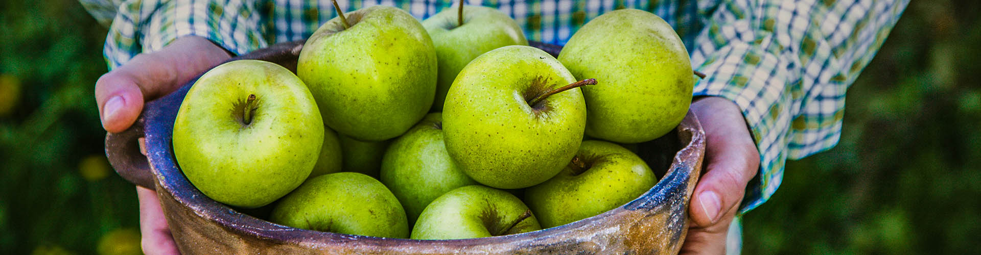 Ignoring fibre may increase Irritable Bowel Disease severity and flare-ups