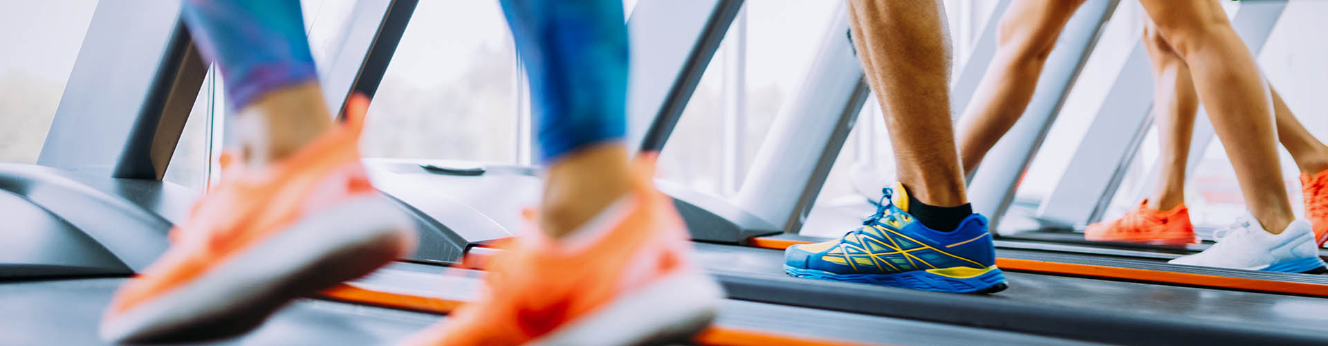 Support optimal muscle gains by looking after your gut microbiome