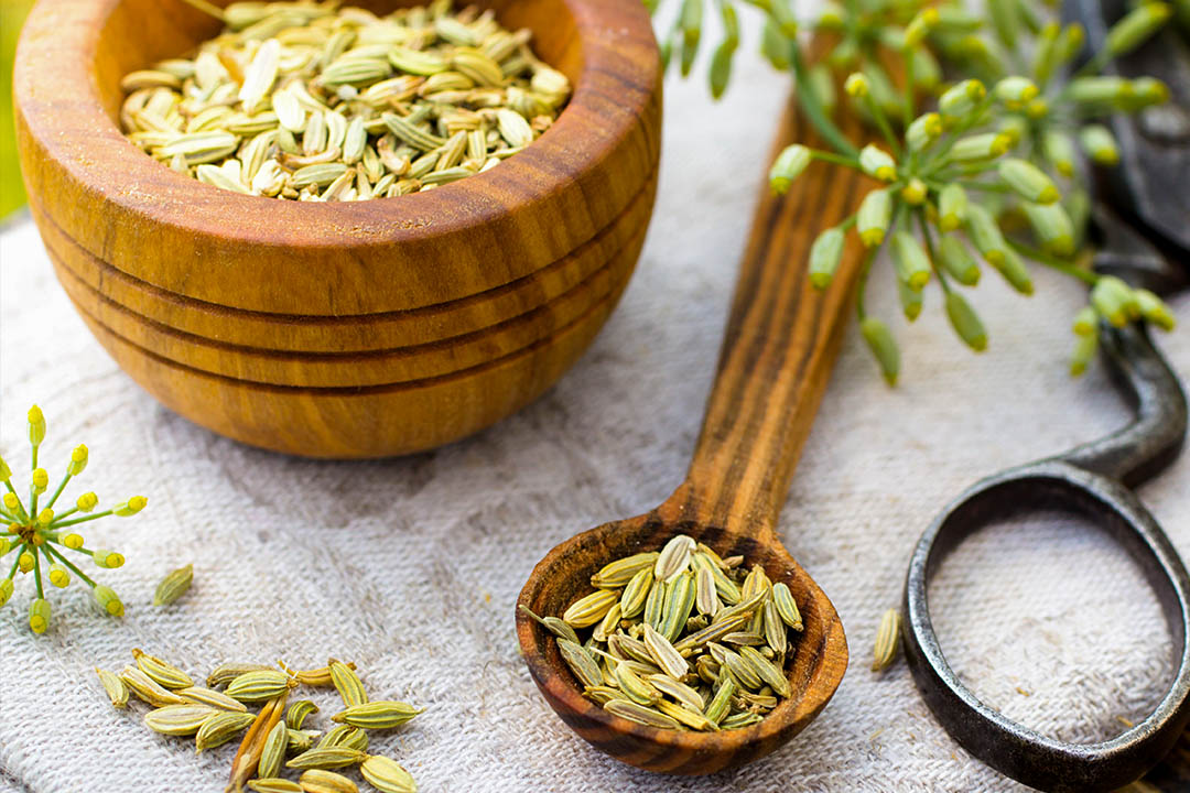 Picture of Fennel seeds in spoon