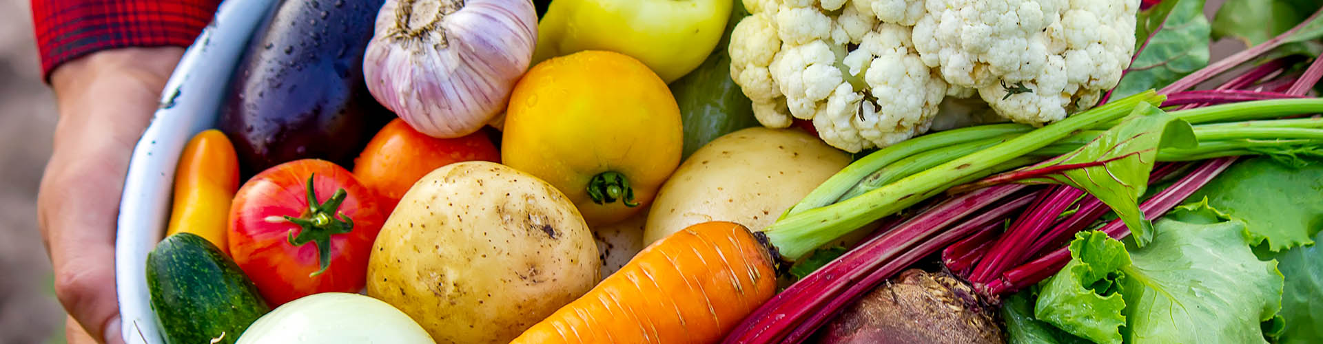 Winter fruit and veg